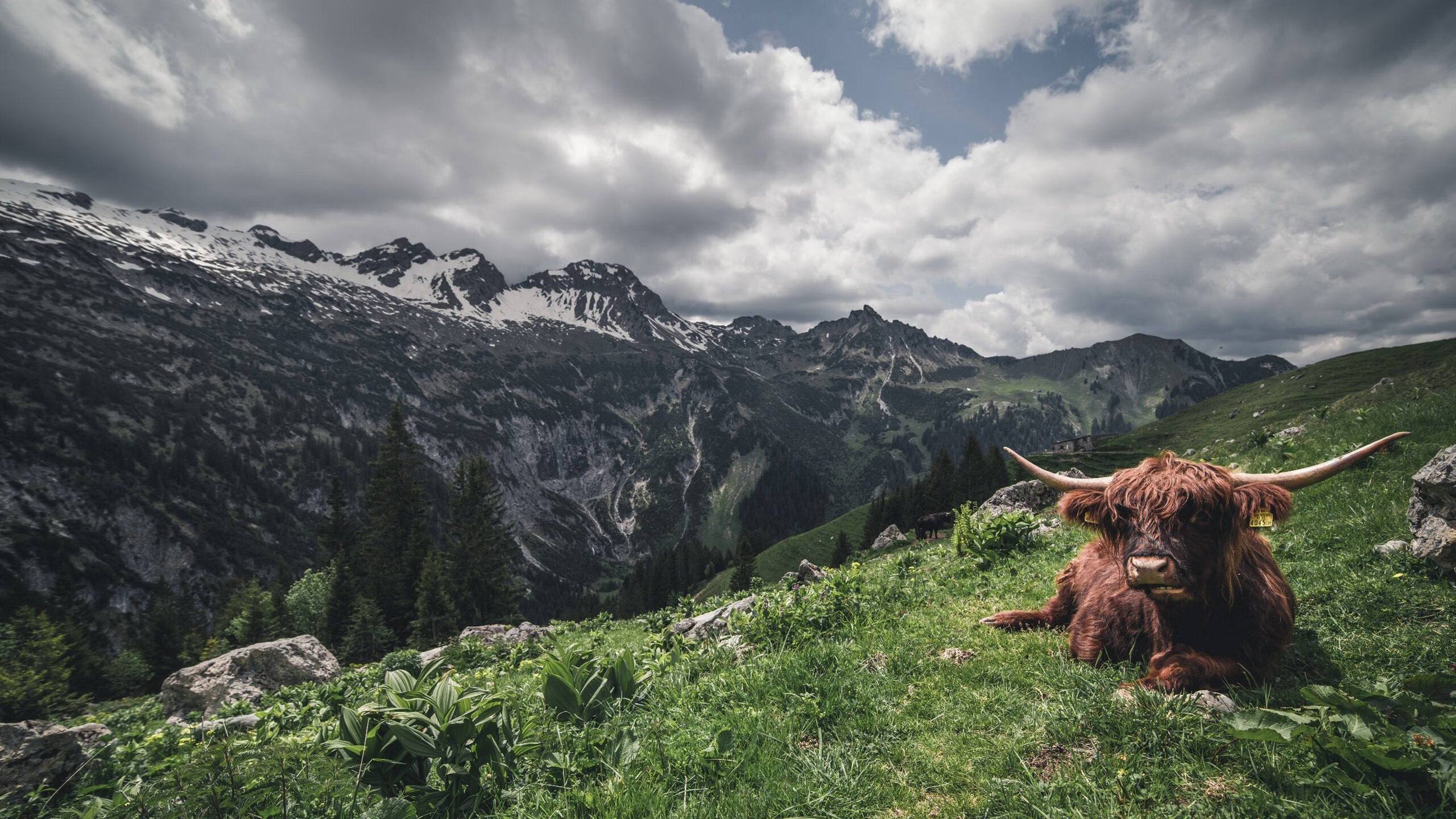 kaiyun体育综合-_极地冰川滑雪：挑战极端天气的速度狂飙_，极地冰川护肤品怎么样