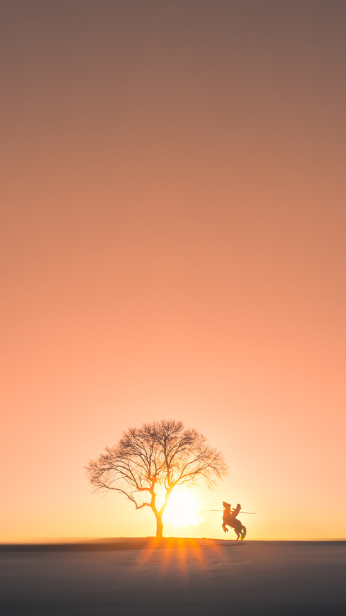 开云网页版登录入口-_极速骑行节：骑行探秘城市风光_，极速骑行下载手游
