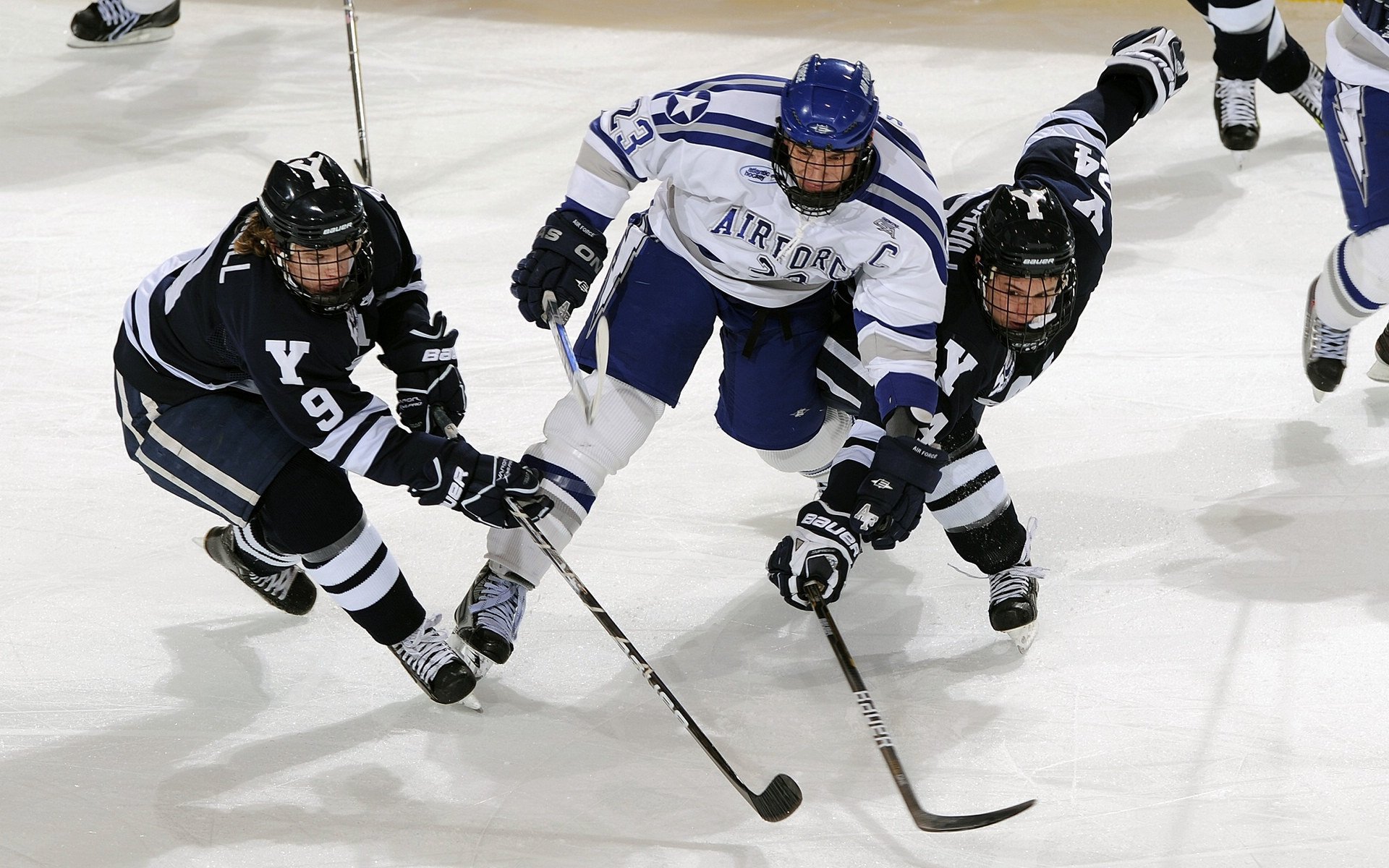 开云体育APP下载-“球场内外：球员的动人故事和激情人生”，关于球员