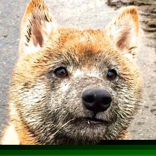 kaiyun官方网站-【最新比赛规则介绍】罚分细节及犯规判定标准，比赛罚款