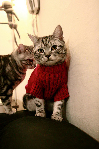 开云·体育官网APP下载-世界女子足球联赛季后赛：中国俱乐部强势出击，女子世界足球锦标赛