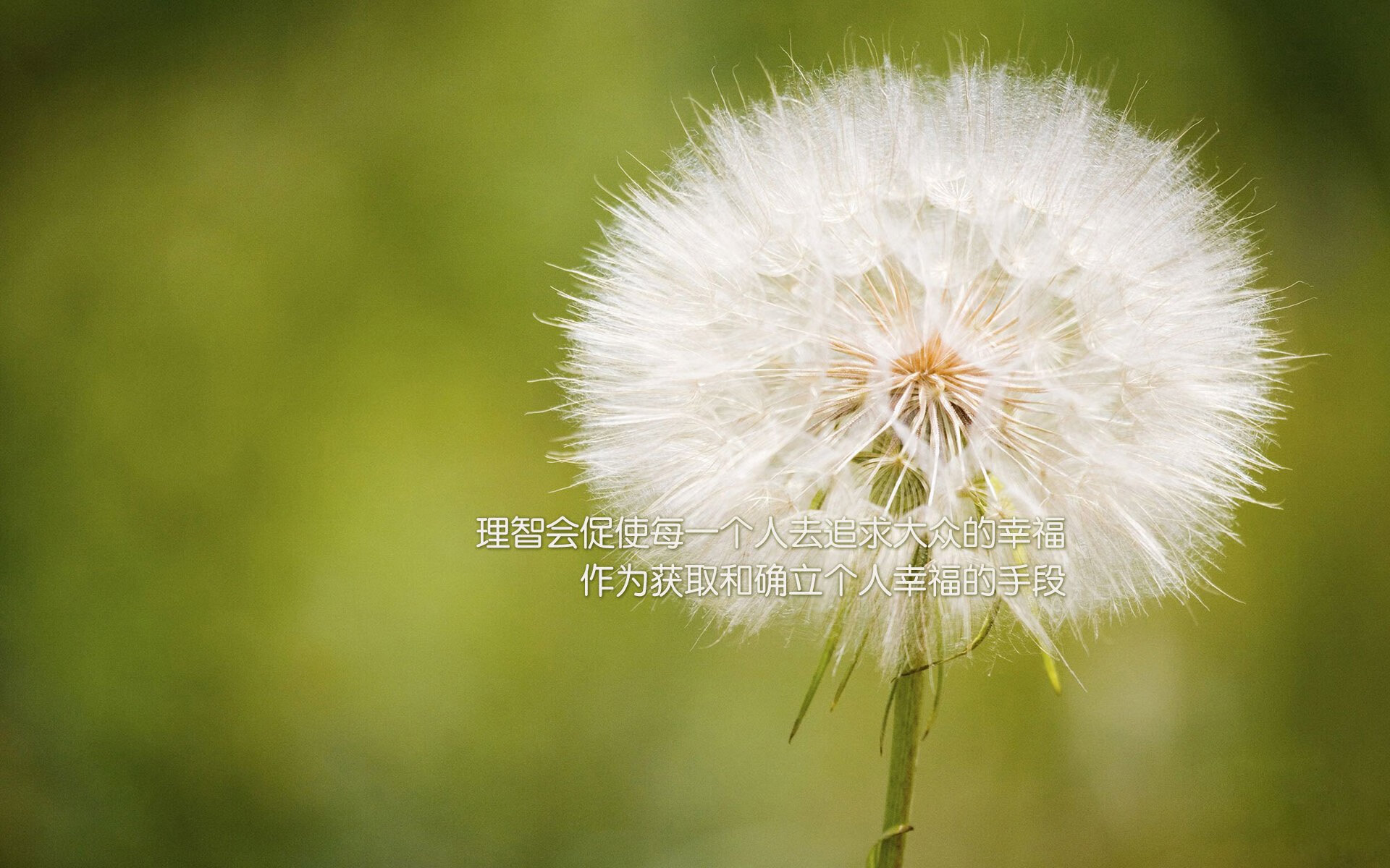 全国青少年“青年篮球导师”培训班在天津正式开班，全国青少年篮球俱乐部邀请赛