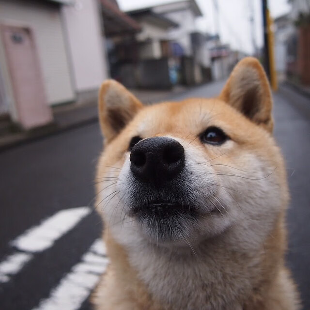 Kaiyun官方登录入口-各俱乐部加快校园足球合作步伐，足球俱乐部与学校合作计划