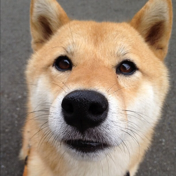 夜空星辰瑜伽静修，身心兼修的运动新体验，星空瑜伽馆