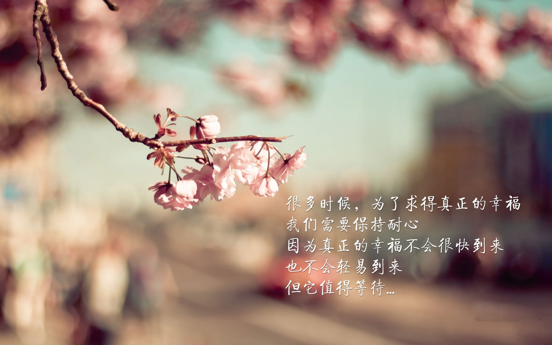 探秘幕后:比赛策略和教练指挥的深度揭秘,比赛幕后工作者