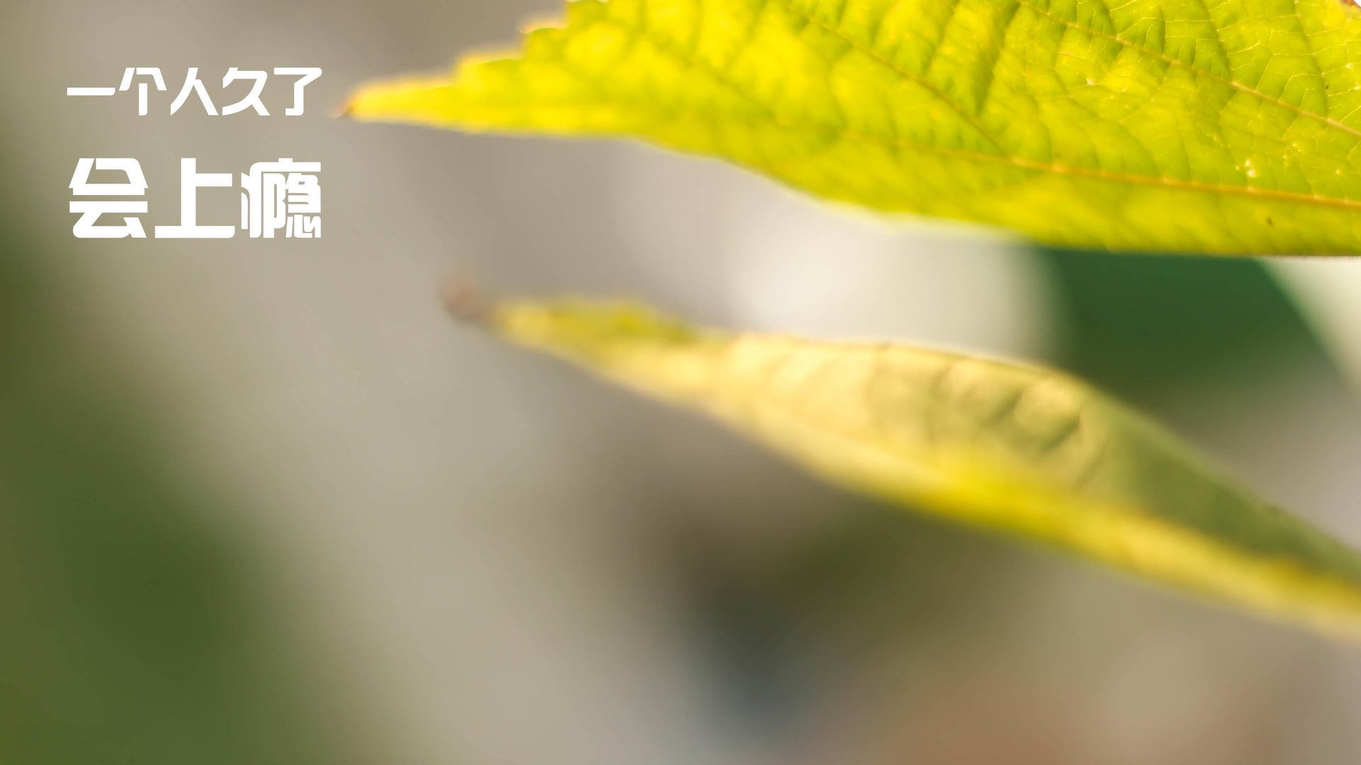 开云官网APP下载-新秀训练营火热开幕，球员潜力巨大的新星出现，新秀怎么样