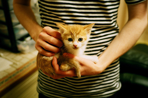 开云体育-未来联盟：引入人工智能（AI）战术分析，战术水平再升级！，联盟_未来之战