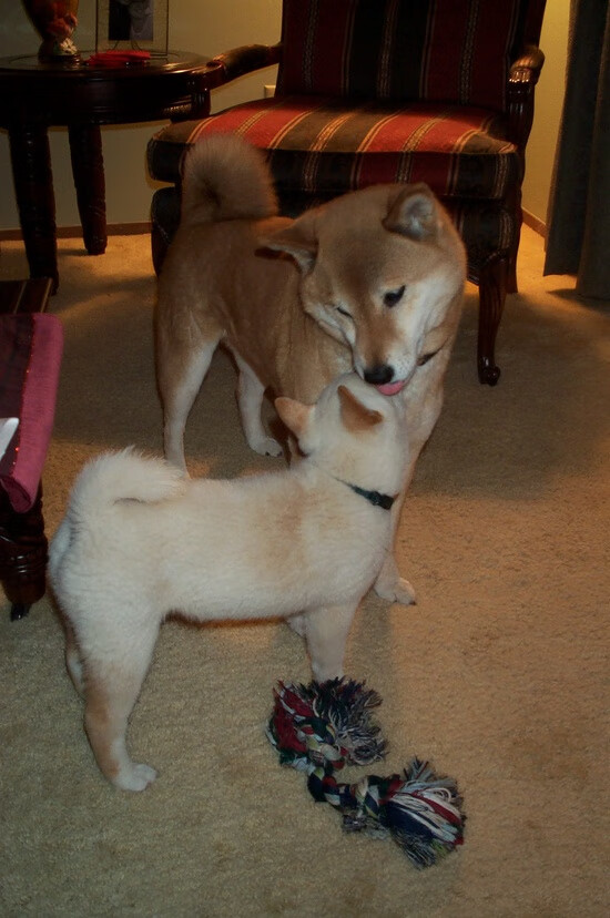 绿意盎然的城市跑:用双脚守护绿色家园