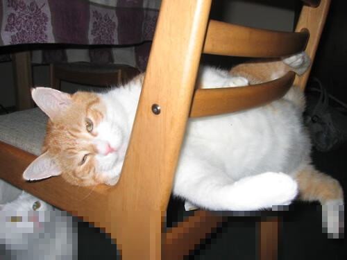 开云平台-足球场馆AI巡检系统投入试点运行，足球场检测机构