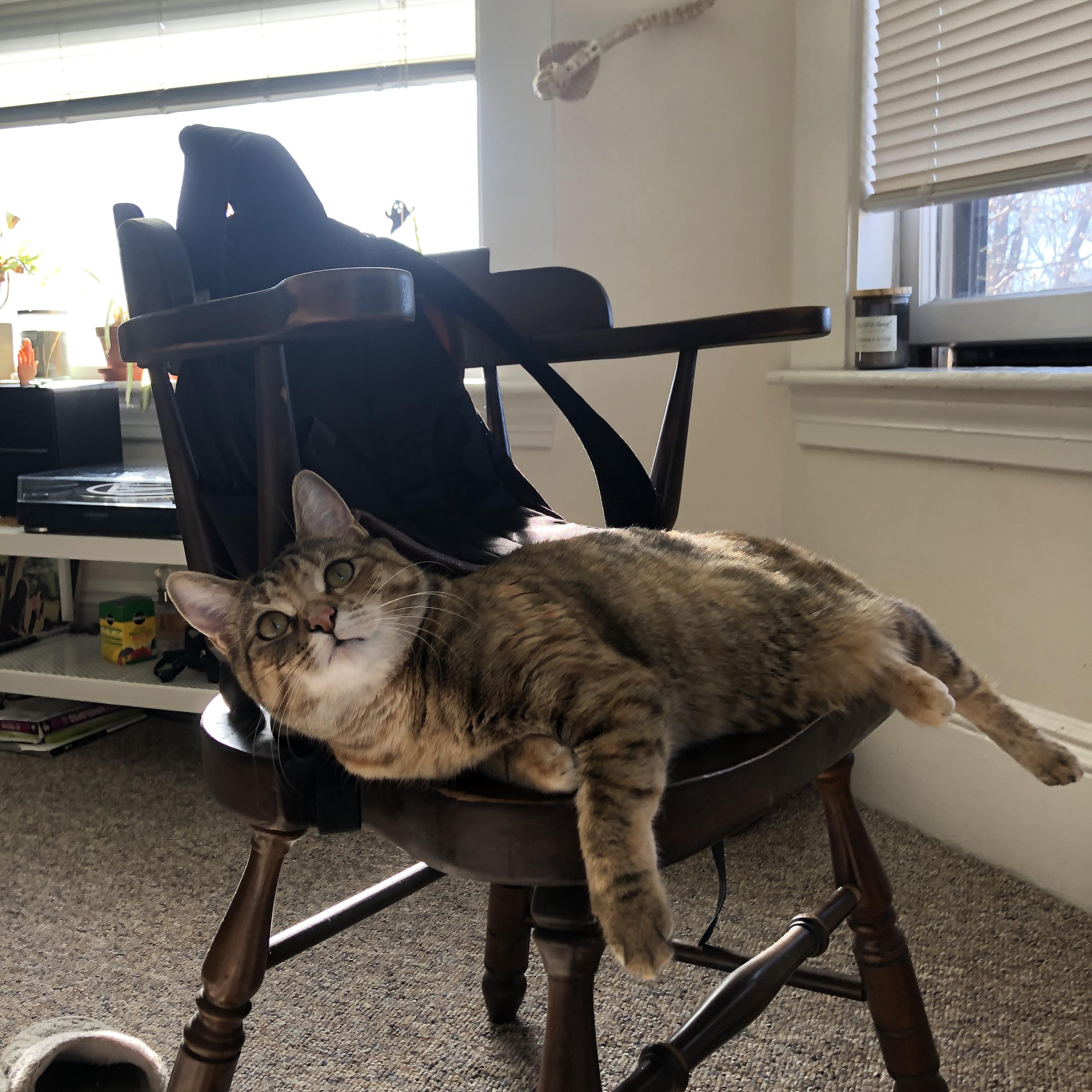 足球青少年俱乐部联盟成立,推动青训系统完善,青少年足球俱乐部招生简章