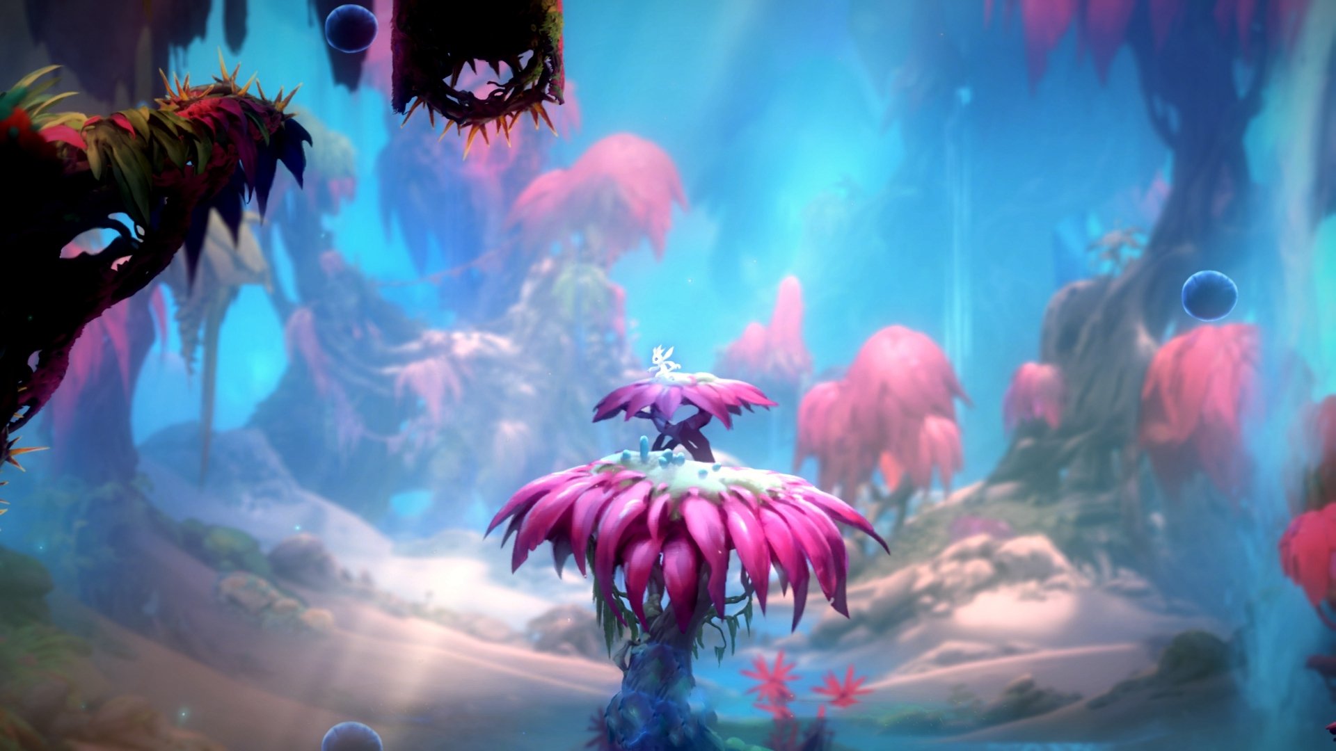 开云平台-字母哥刷新赛季场均篮板纪录，字母哥场均出手多少次_