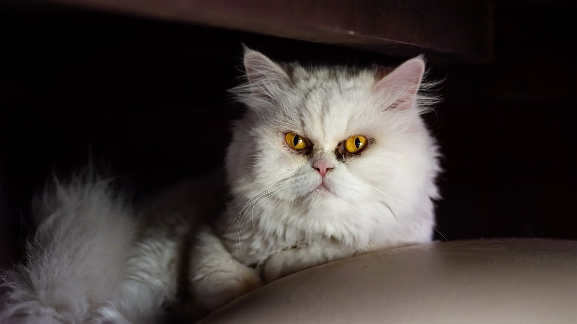 开云体育-巴萨中场连续进球，主场击败对手实现逆转，巴萨中场排名