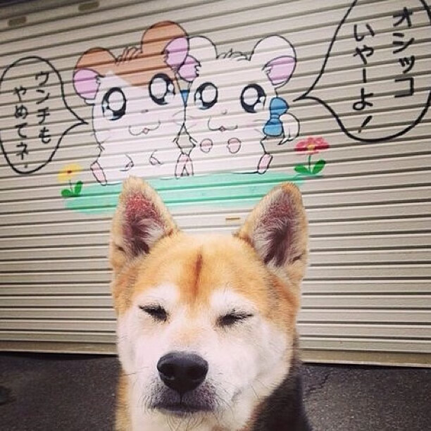 kaiyun开云·官方网站-日本队力克劲敌，晋级淘汰赛，日本联赛强队