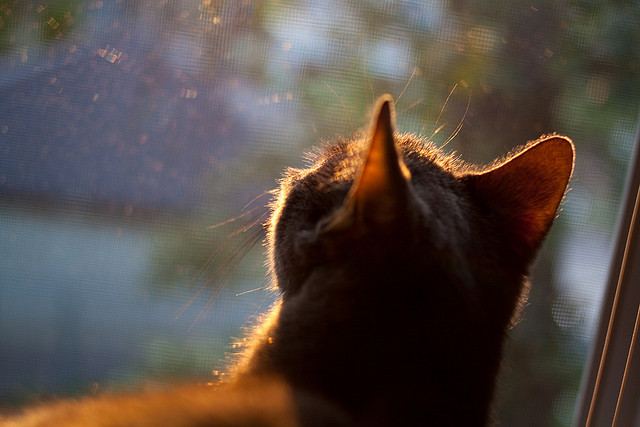 日本队力克劲敌，晋级淘汰赛，日本联赛强队