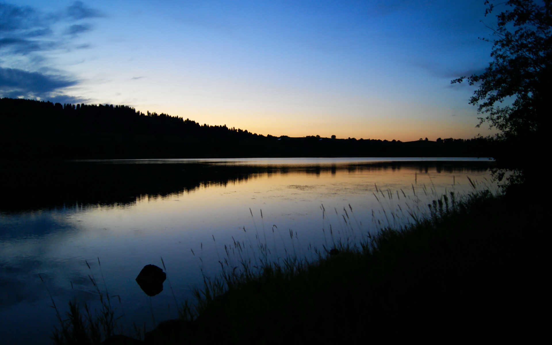 沙尔克不敌法兰克福，糟糕战绩持续，沙尔克队