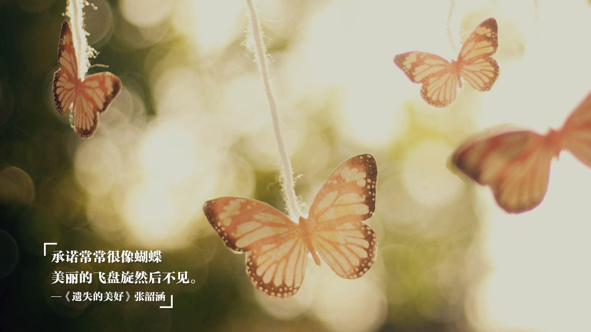 法国球员因伤退出,希望加拿大篮球队逆袭,法国男篮里加多