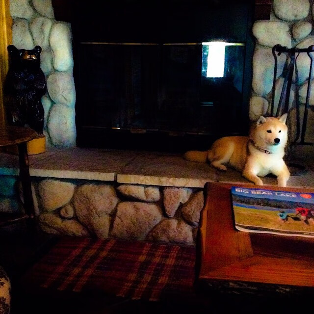 火箭再添新星，篮球天才需谢绝恶政，火箭的新秀