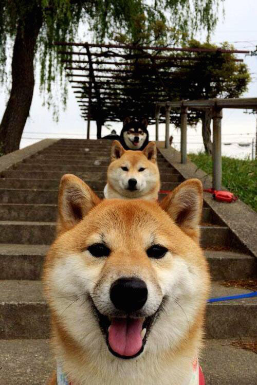 球员是否应成为反仇恨言论倡导者,h球员不当言论