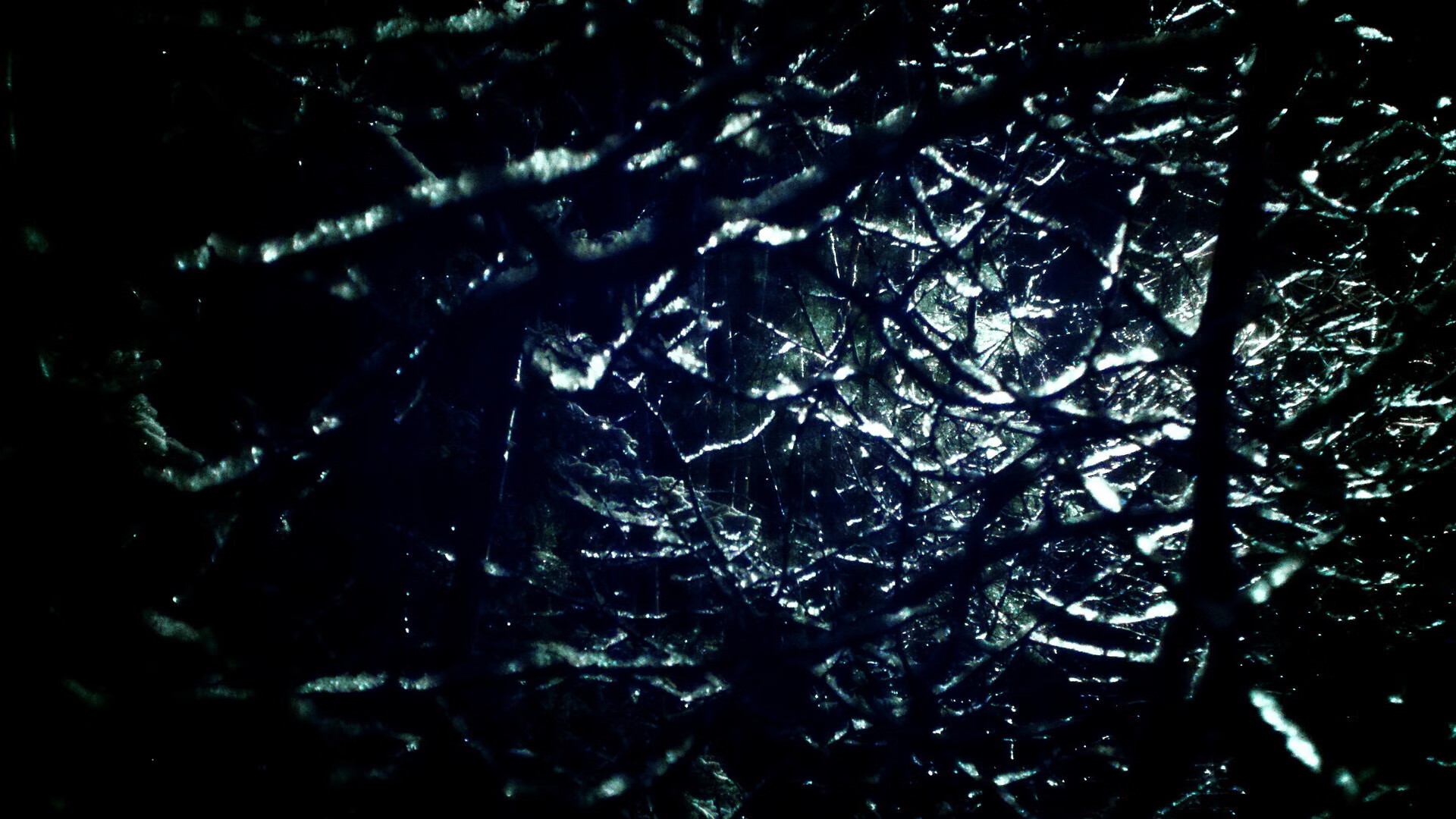 福建豹发力球员体能储备充足，福建豹发力主教练是谁