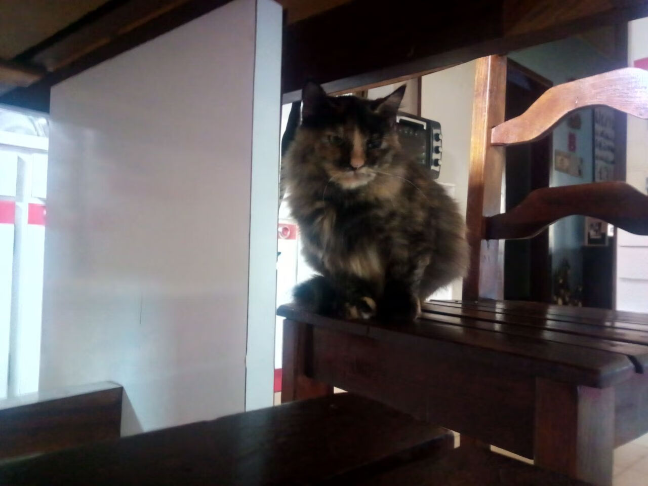 开云网页版登录入口-联盟是否应开放球员社群话题引导平台，联盟球星