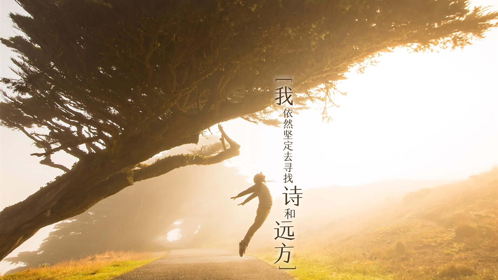 开云中国大陆-逆转体操男团决赛悬念升级，逆转是哪一套