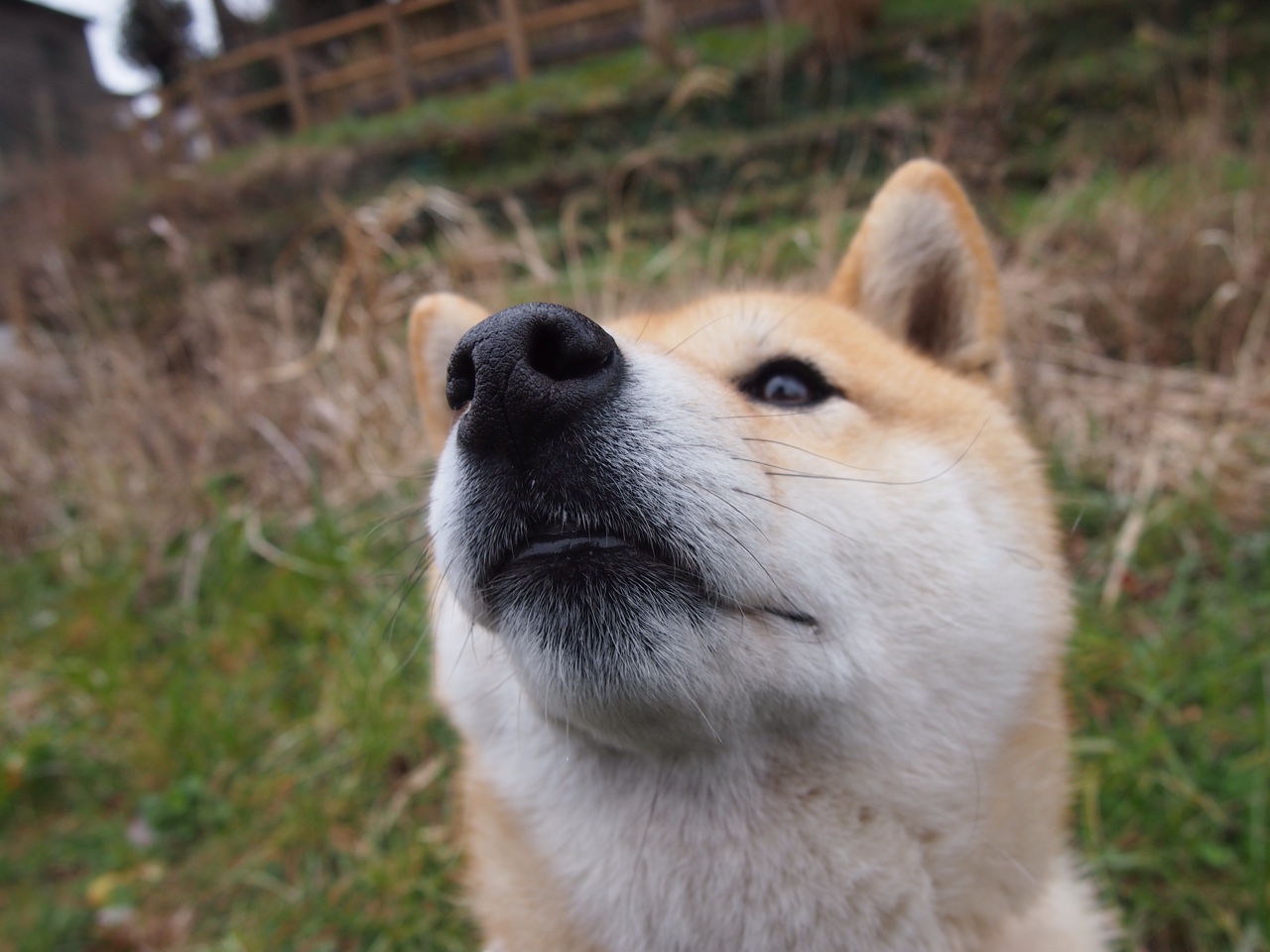 世界青年划船锦标赛中国队表现抢眼，最有名的划船运动对抗赛