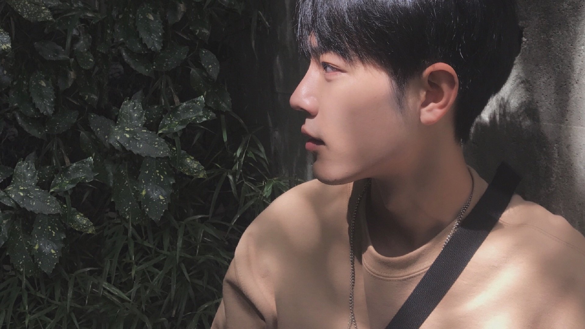 中国篮球教练员技术创新能力提升研究,中国篮球教练员技术创新能力提升研究论文