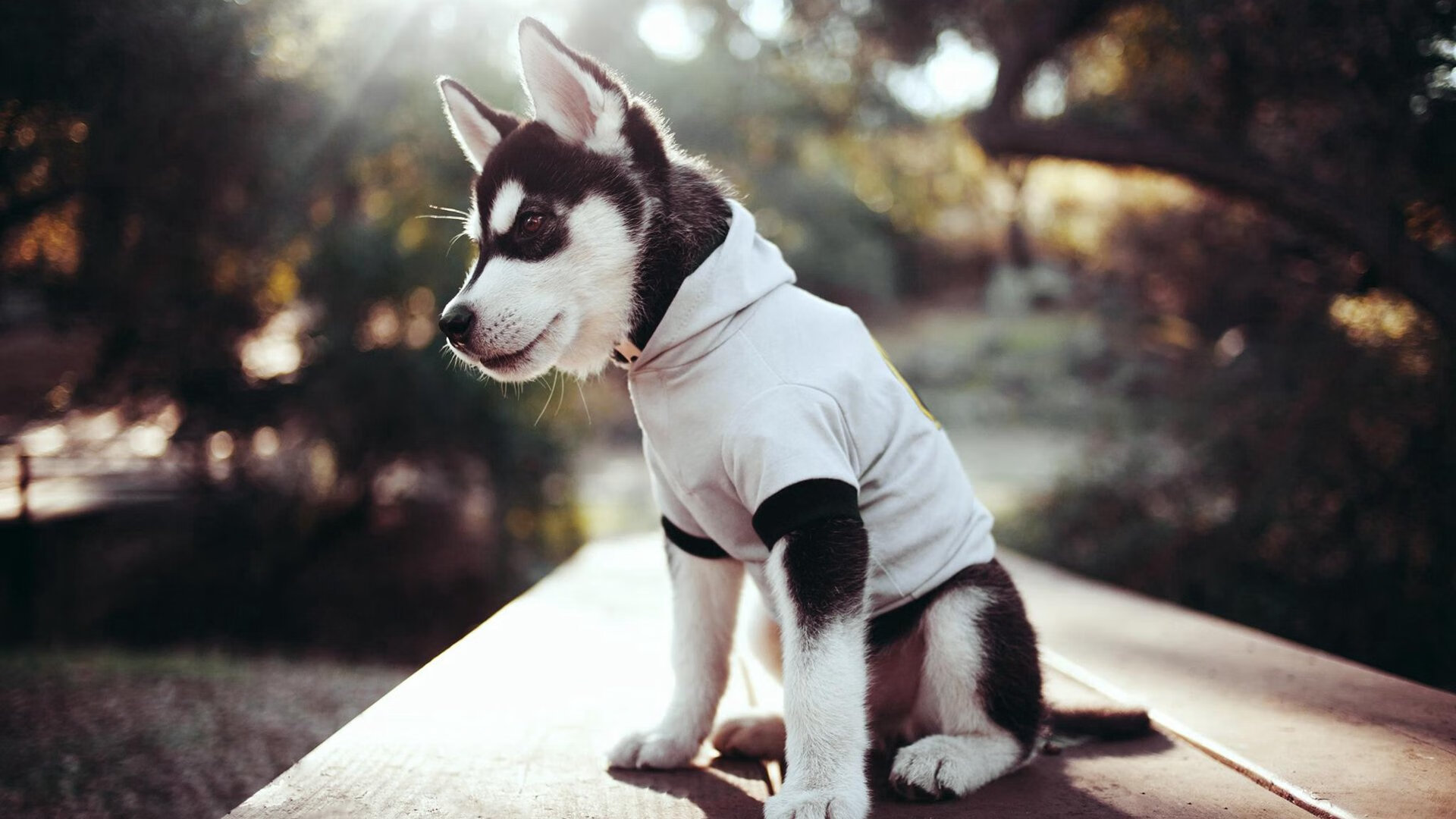 开云中国-中国足球传球回合中断点分布统计图，足球传中脚法图解