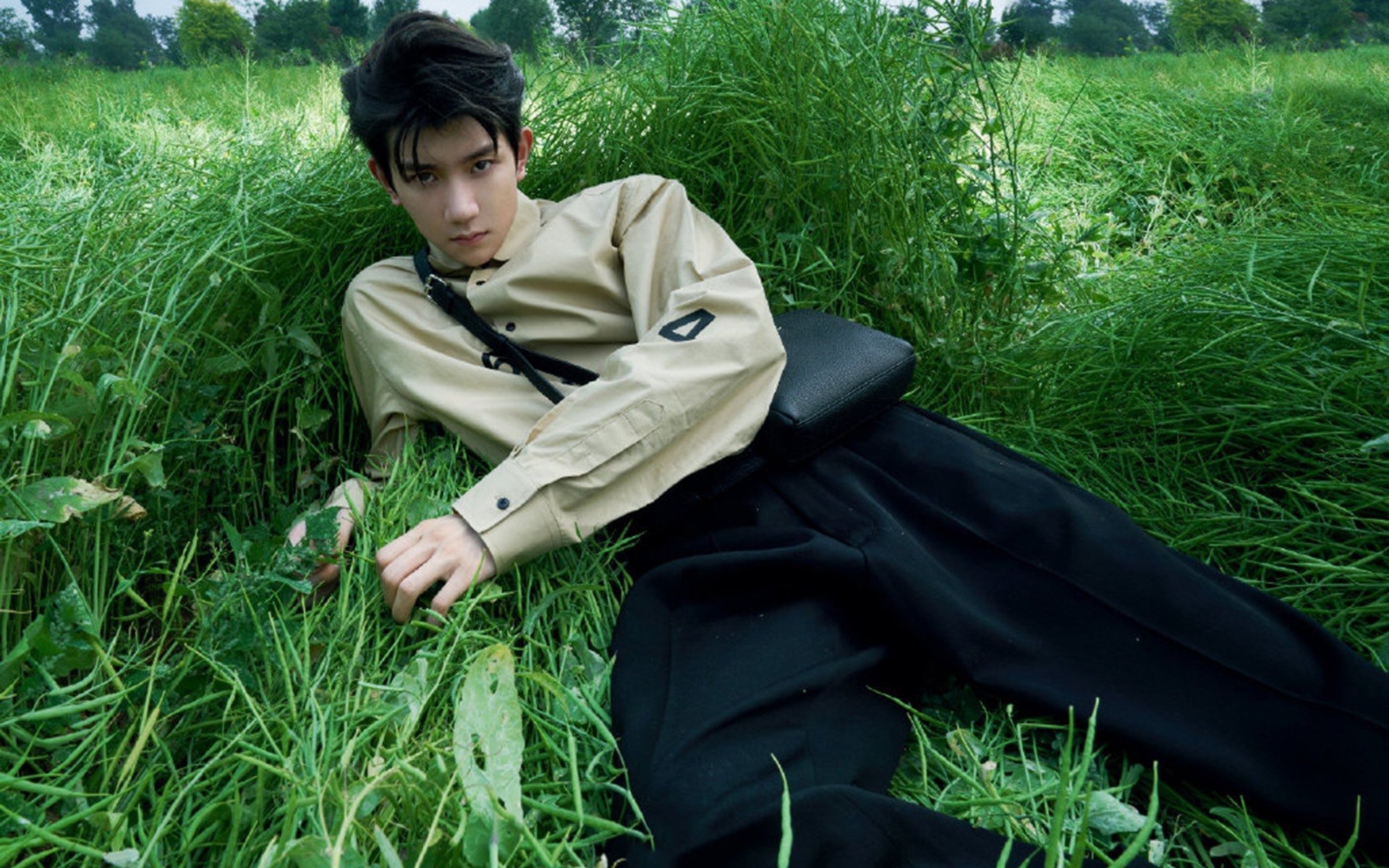 体育组织对接社区服务功能拓展机制研究，社区体育组织结构