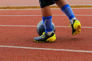 开云体育APP下载-未来潜力：年轻球员的崛起路径，年轻球员是中国足球未来发展的基础