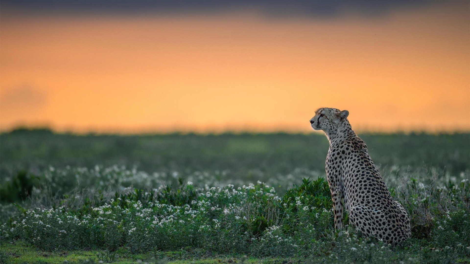 KAIYUNAPP-体育新闻中心协办国内首个体育传播信用评价体系，体育新闻公司