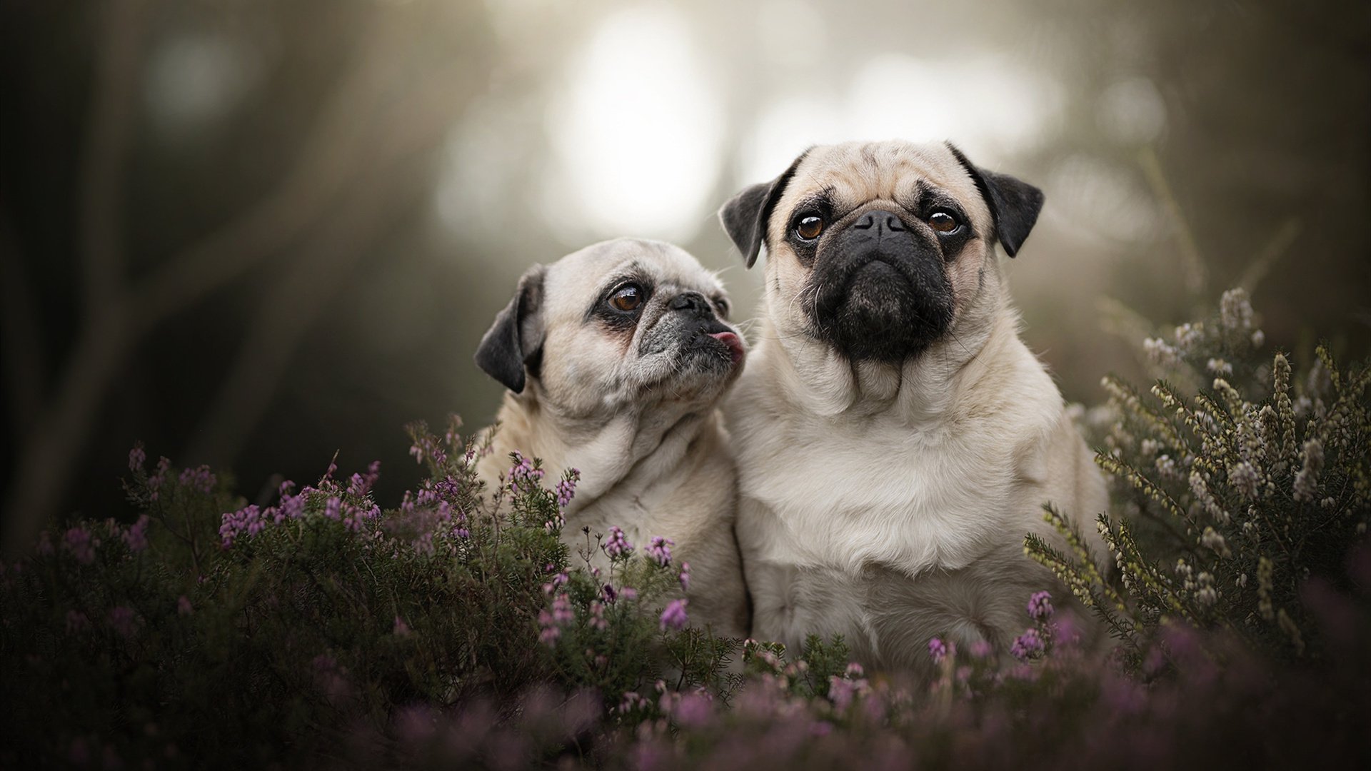 开云体育-女篮新星职业首秀砍下两双表现惊艳，女球员篮球