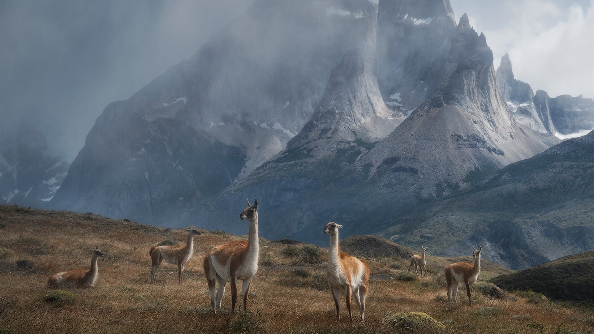 开云平台-体育新闻中心通报运动装备自主品牌孵化支持计划，运动装备市场