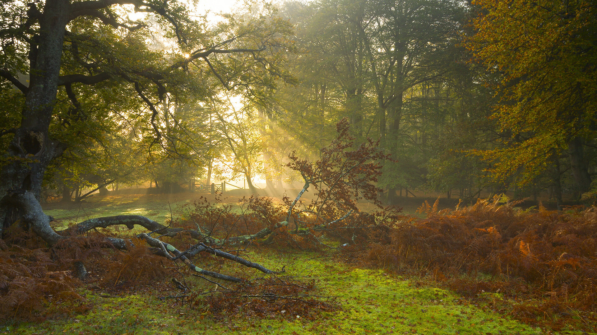 开云网页版登录入口-球迷团体联合发声呼吁俱乐部优化观赛服务体验，球赛观众