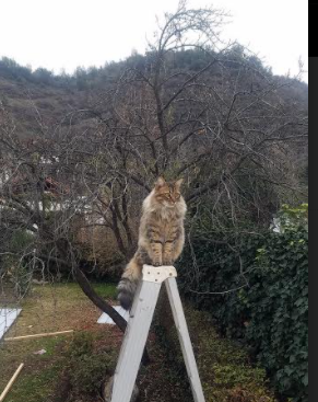 英超第10轮焦点战预测，英超第十轮积分榜